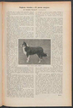 Páginas rurales.- El perro ovejero : Su primer trabajo - (Continuación)
