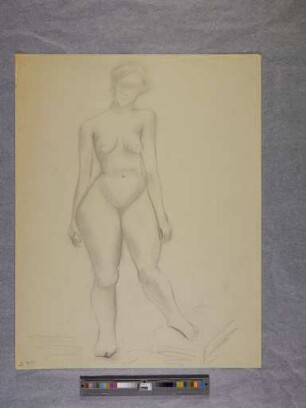 o. T. (Frauenakt, stehend; aus dem Aktzeichnen an der Burg Giebichenstein Halle)