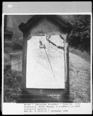 Grabstein von Ernst Honig (gestorben 1903.12.07)