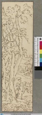 Lichter Wald. Eine Linkskulisse (?)