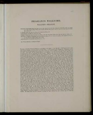 Phasianus Wallichii