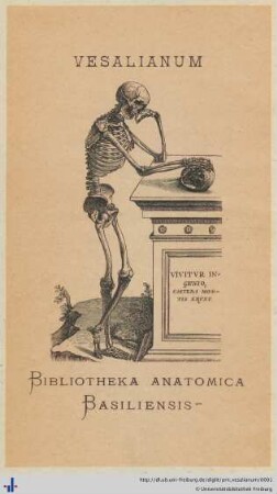 [Provenienz]: Vesalianum