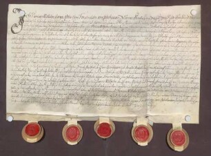 Instrumentum cautionis des Damian Wilhelm Kaspar Forstmeister von Gelnhausen.