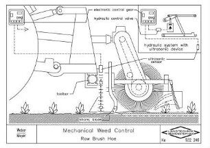 Mechanical Weed Control. Row Brush Hoe