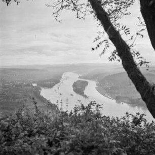 Blick vom Drachenfels bei Königswinter auf die Insel Nonnenwerth
