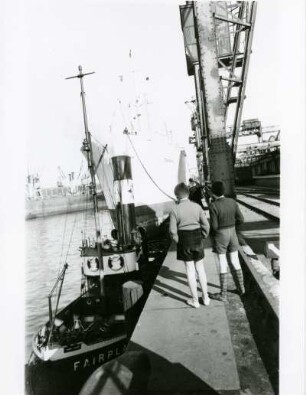 Hamburg. Hafen. Sehnsuchtsvoll schauen diese beiden Jungen auf das Frachtschiff "Tamara". Traum vieler Jungen: Einmal in die Ferne .... Im Vordergrund der Schlepper "Fairplay".