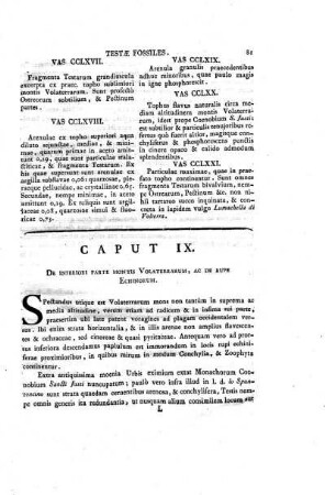 Caput IX. De inferiori parte montis Volaterrarum, ac de rupe echinorum.