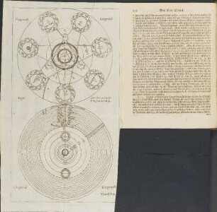 Tafel: Tom. II. Tab. II.