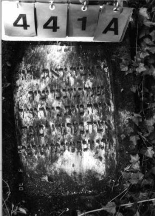 Grabstein 441 (Index: 99791995) Material: Sandstein Zustand: leicht verwittert, Stele liegend Maße HxBxT: 92x47x11 cm Beschreibung: Stele, gerader Abschluß, rechteckig erhöht, Schriftfeld eingetieft mit Rundbogenabschluß Symbolik: Blüten ?, Rundbogenfries: Grabstein 441A