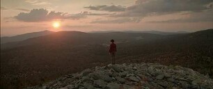 Der wilde Wald - Natur Natur sein lassen