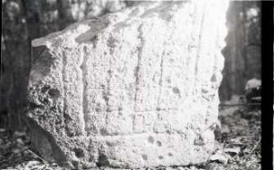 Santa Rosa Xtampak, Altar 1 (SRX: Alt. 1)