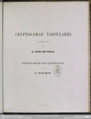 Botanischer Theil ; Bd. 1,[4]: Gefäss-Kryptogamen