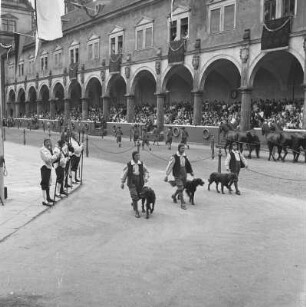 Turnierspiele 1936 : Dresden, Stallhof, Turnierspiele, Festumzug. Jagdaufzug aus der Zeit Kurfürst Johann Georg I., die Meute