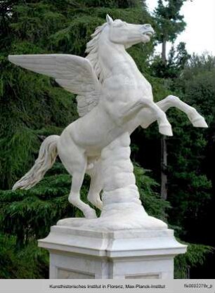 Pegasus