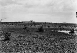 Landschaftsaufnahme : Blick über die Landschaft des Pantanals nördlich von Aquidauana.