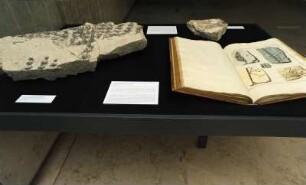 SLUB, Ausstellung "Gespräche mit der Erde. Geowissenschaften in Sachsen" : Ausstellungspräsentation im Buchmuseum. Ausstellungsvitrine mit fossilem Pflanzenstück, Kräuterabdruck und Publikation "Versuch einer Geognostisch-Botanischen Darstellung der Flora der Vorwelt" (Tafel XIX, Fig. 4) von Kaspar von Sternberg, 1820-1825
