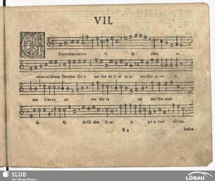 VII. Grates nunc omnes