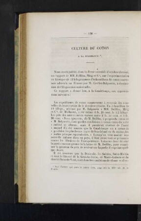 Culture du coton