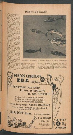 Delfines en marcha
