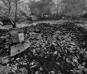Archivfotografie "motive_umwelt_muell_24643"