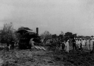 Vorführung eines Dampfpfluges in einem Baumwollfeld bei Sadani.