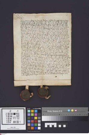 Babenhausen: Graf Reinhard v. Hanau verschreibt seiner Gemahlin Katharina v. Nassau f 80 Fruchtgeld auf die Stadt Babenhausen
