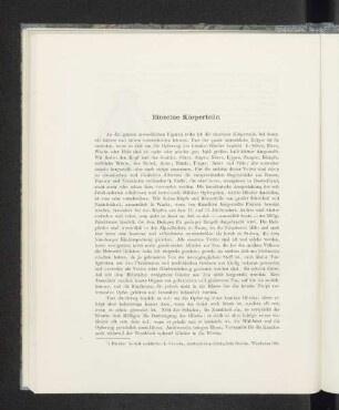 Einzelne Körperteile.