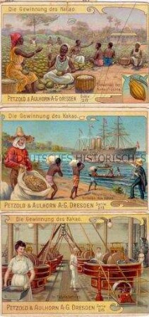 Sammelbilder der Serie 26 "Die Gewinnung des Kakao"; mit Werbung für Hafer-Kakao der Firma Petzold und Aulhorn; um 1900