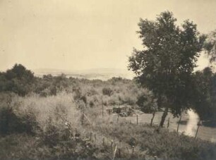 Palästina. Taufstelle am Jordan (Galeriewald) gegen die Ebene von Ghor (Wüstensteppe) mit Bruchrand