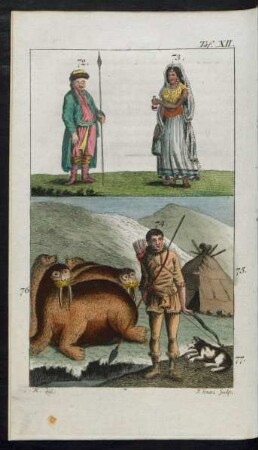 Taf. XII. Fig. [Fig.] 72. - [Fig.] 76.