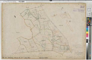 Alstätte (Ahaus), Wessum (Ahaus), Umlegung Graes, Zuteilungskarte Wessum Flur 29