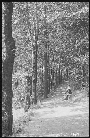 Hainichen. Im Stadtpark