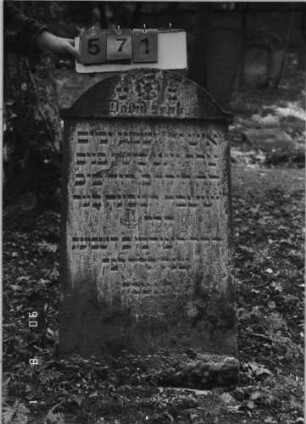 Grabstein 571 (Index: 99790981) Maße HxBxT: 97x54x11 cm Symbolik: Levitenkännchen: Grabstein 571