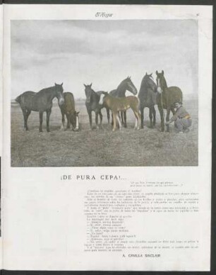 ¡De pura cepa!... [Fotografía]