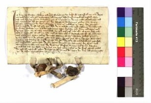 Hans von Riedheim (Rietheim) trägt seine Feste Kaltenburg dem Herzog Stephan von Bayern zu Lehen auf.