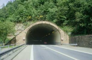 Tunnel Hirschhorn, Westportal