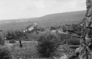 Landstraße : Landschaft mit Landstraße