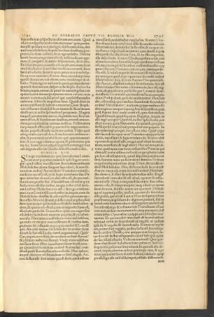 Homilia XIII.