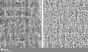 Lilienschild + IESV / LW = Bd.1, S.13/14+49/50