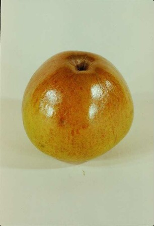 Äpfel