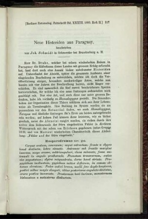 Neue Histeriden aus Paraguay