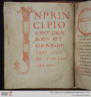 Zierinitiale / Flechtbandinitiale: I(n principio)