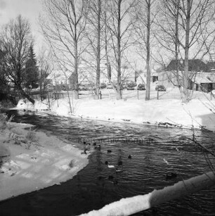 Trave: Beste: Zusammenfluss: vorn Wassergeflügel im Wasser: rechts und links am Ufer Eisränder: hinten Baumreihe: dahinter Parkplatz mit Pkws an der Lübecker Straße: im Hintergrund Häuser: Winter
