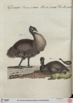 B.VI. No. 41 - B.VI. No. 50