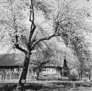 Spreewald. Historisches Wohnhaus