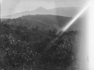 Karisimbi : Der Vulkan Karisimbi in der Gruppe der Virunga-Vulkane ist in der oberen Bildmitte erkennbar. Im Vordergrund erstreckt sich die Vegetation des Vulkangebietes