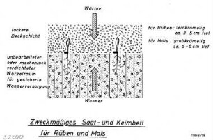 Zweckmäßiges Saat- und Keimbett für Rüben und Mais