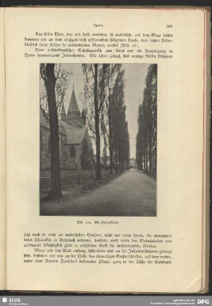 Die Peterskirche