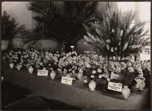 Fotoalbum: Deutsche Gartenbau- und Schlesische Gewerbe-Ausstellung (GUGALI), Liegnitz: Gewerbeausstellung, Innenansicht Ausstellungsgebäude: Detail Nelken in Vasen