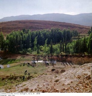 Israel: Samarisches Bergland
